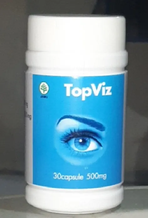 Vizonic